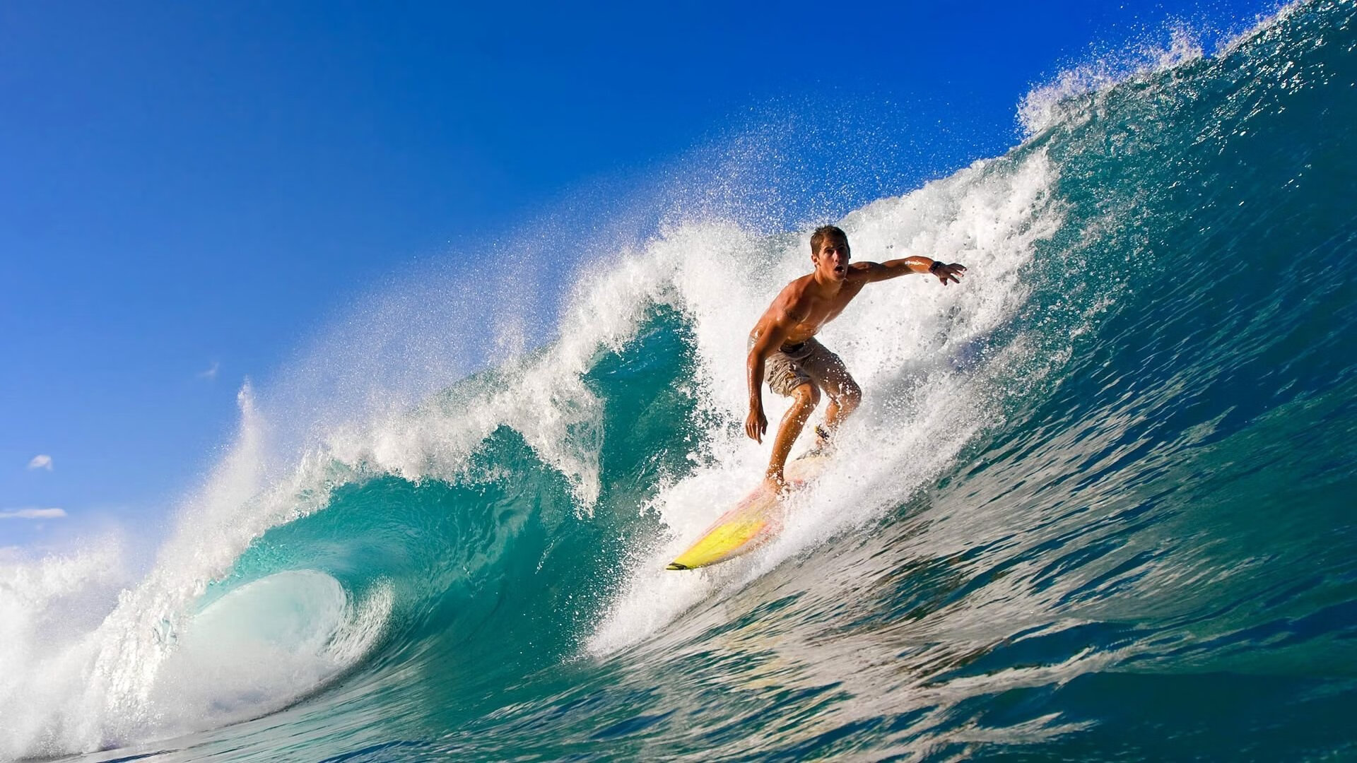 南非橄榄球赛事观众持续增加，品牌价值日益增强，南非 橄榄球