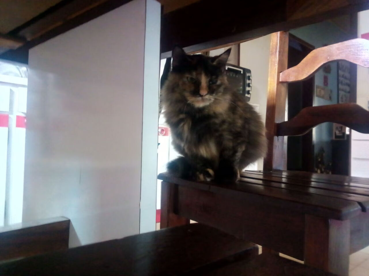 【逆境战役】球队X在落后3分情况下绝地反击,逆境战场