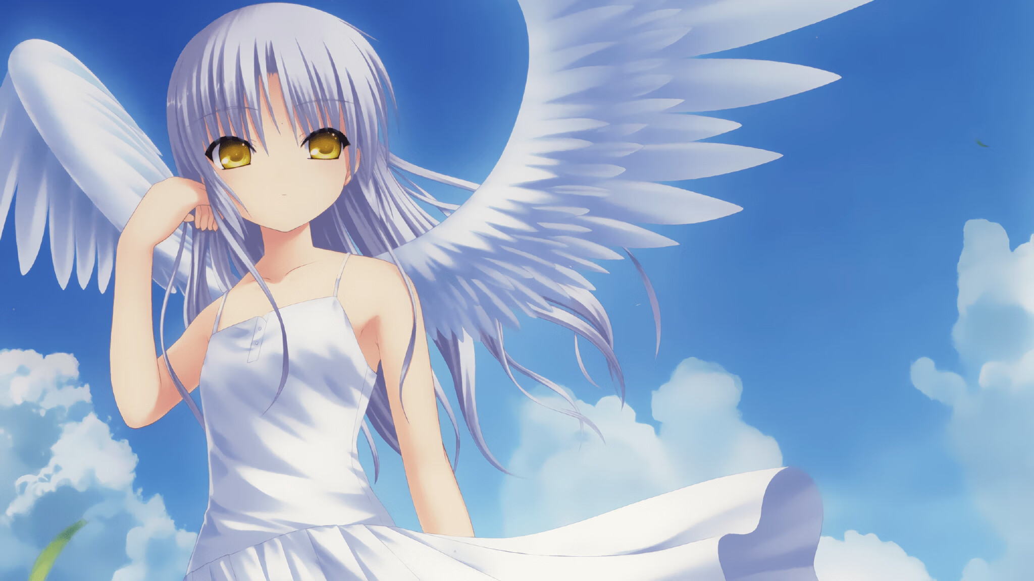 全国青少年足球训练营火热招生,开启梦想之门,青少年足球培训招生